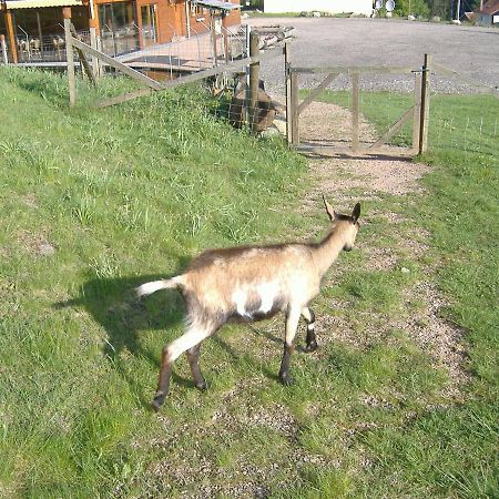 Les Gites De La Bergerie Xonrupt-Longemer Esterno foto